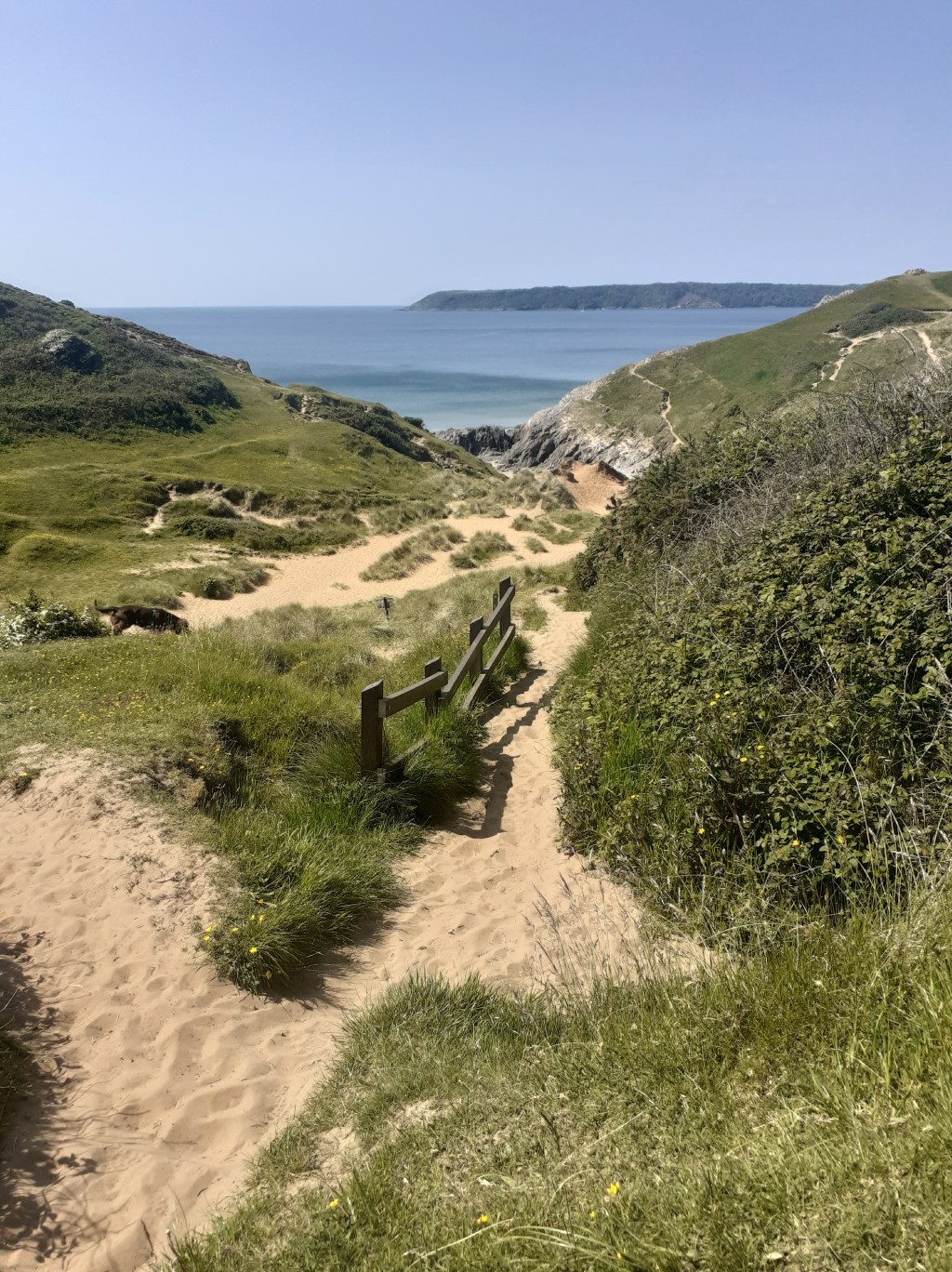 Coffee + a walk in&nbsp;Gower